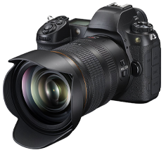DSLR & Mirrorless